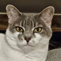 Charlie - Photo 1