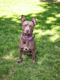 Nora - Photo 3