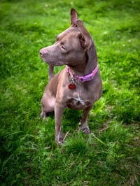 Nora - Photo 4