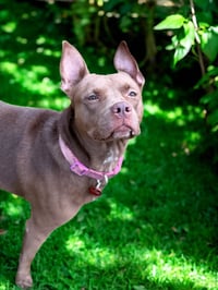 Nora - Photo 2