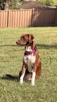 Shelly (F) - Photo 4