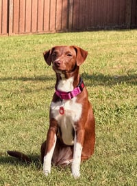 Shelly (F) - Photo 3