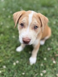 Freddie - Photo 2