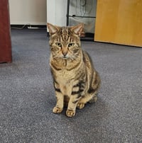 Libby - Photo 1