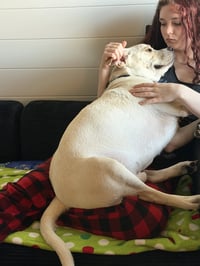 Percy - Photo 8