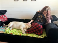 Percy - Photo 9