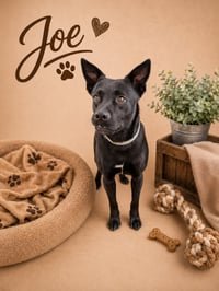 Joe Faith - Photo 2