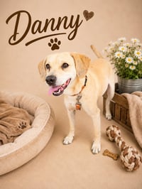 Danny Faith - Photo 7