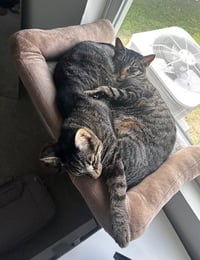 Snuggles - Photo 3
