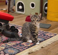 Maggie - Photo 1