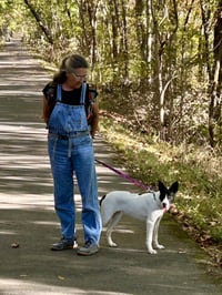 Pippa - Photo 5