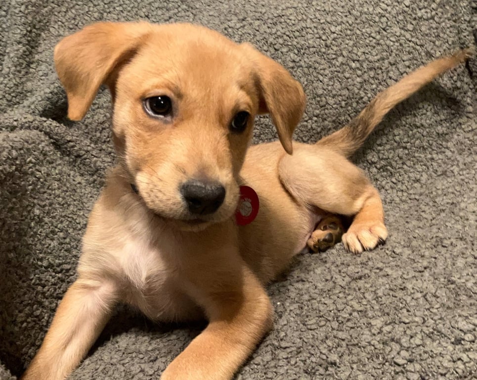 Jackson(m) Image