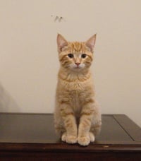 Thomas - Photo 3