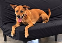 Heidi - Photo 2