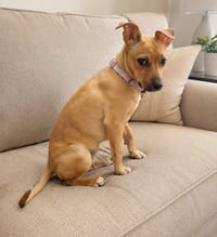 Rorie (f) - Photo 2
