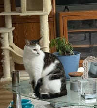 Leah - Photo 2