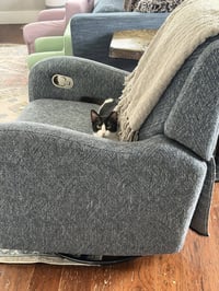 Parker - Photo 5