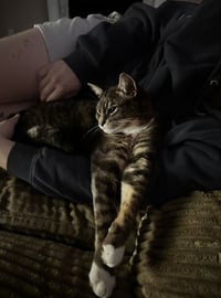 Lucky - Photo 5