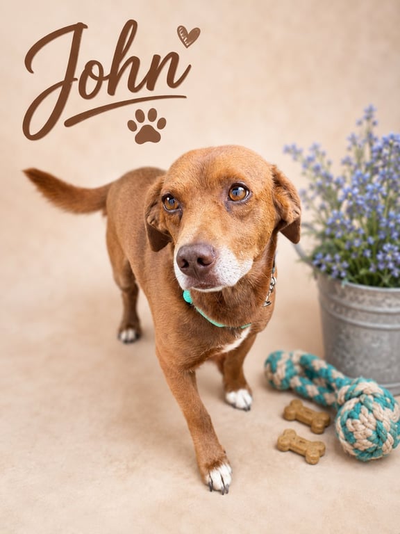 John Faith Image