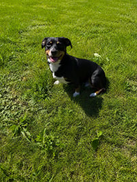 Bridgett - Photo 2