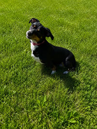 Bridgett - Photo 3