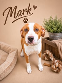 Mark Faith - Photo 4