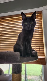 Chuck - Photo 2