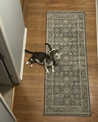 Marble - Photo 8