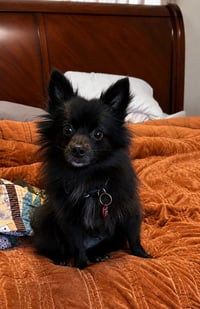 Rayleen - Photo 1
