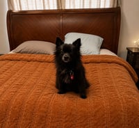 Rayleen - Photo 2