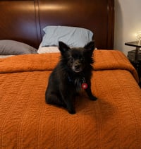 Rayleen - Photo 3