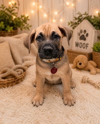 Mario - Photo 3