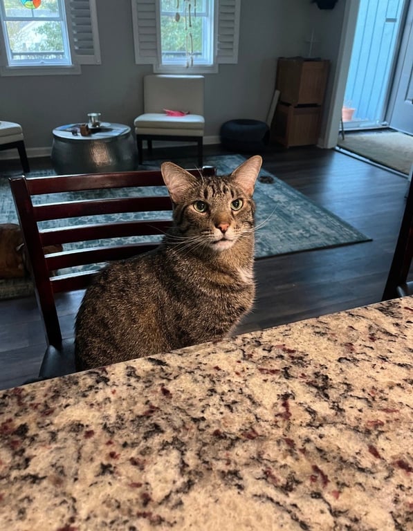 Buddy Image