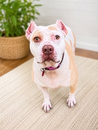 Nyla - Photo 6