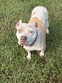 Nyla - Photo 5