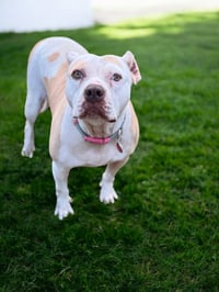 Nyla - Photo 9