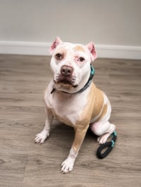 Nyla - Photo 1