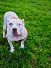 Nyla - Photo 10