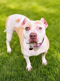 Nyla - Photo 7