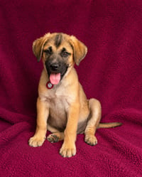 Brooks - Photo 1
