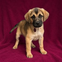 Brooks - Photo 2