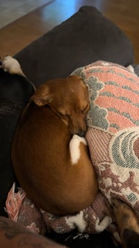Brinley (F) - Photo 3