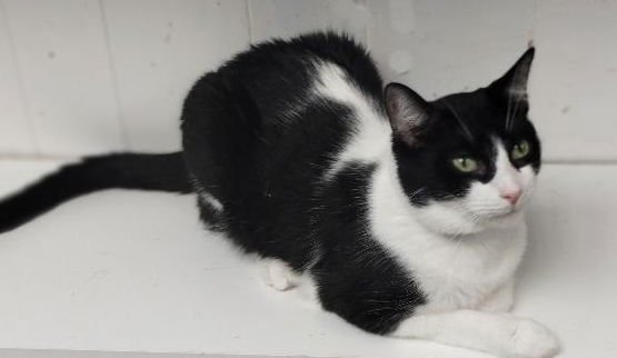 Zelda center - Photo 3