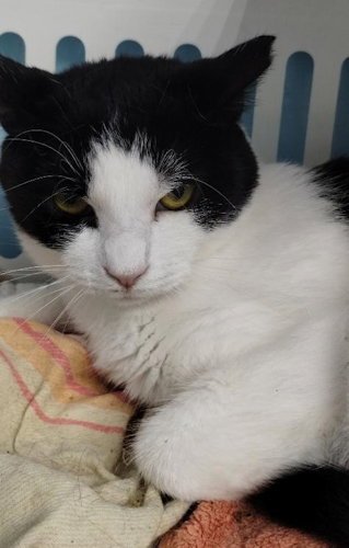 Simone - Center Image