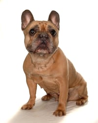 Fiona - Photo 2