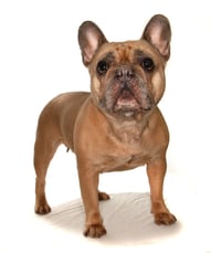 Fiona - Photo 3