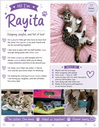 Rayita - PSP Foster Home - Photo 1