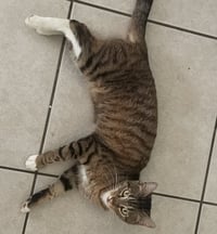 Sweetie - Photo 2