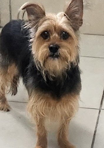 MAXWELL
