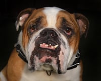 Renzo - Photo 1